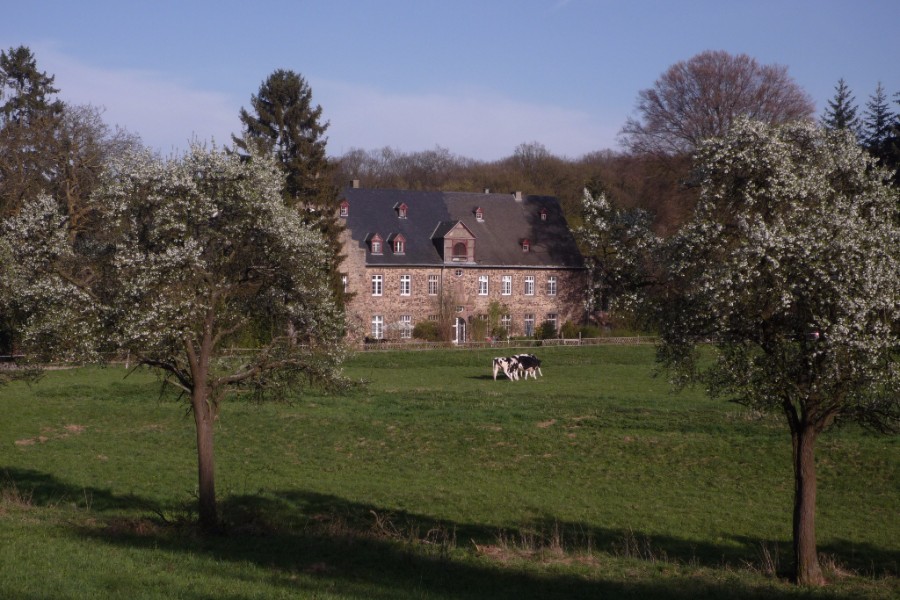 schweinheim